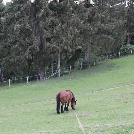 Kleine Glueck Dom wakacyjny *